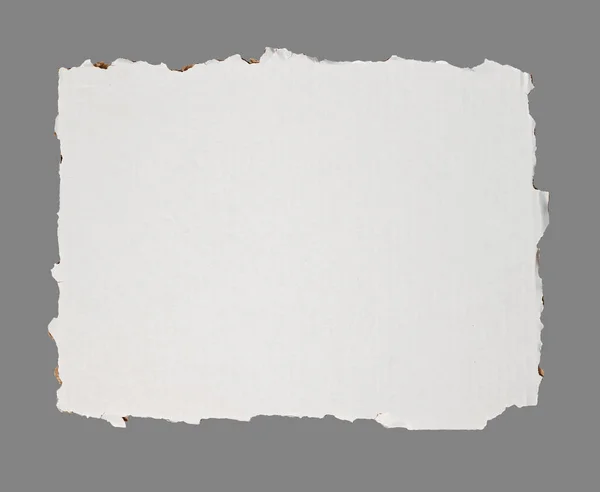 Akasya yapraklarının bileşimi. Genç yeşil akasya yaprakları çiçek dallı bir çelenk içinde. Kartpostallar, düğün kartları ve davetiyeler için tasarım ögesi.