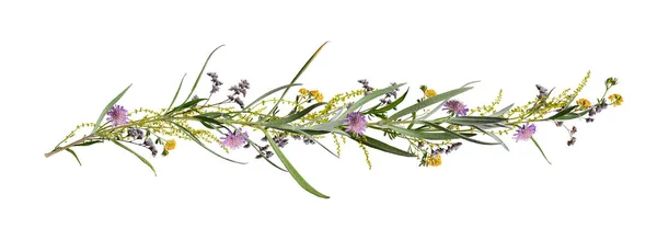 Skład Granicy Botanicznej Boho Stylu Kompozycja Kwiatów Dzikimi Kwiatami Ziołami Obrazy Stockowe bez tantiem