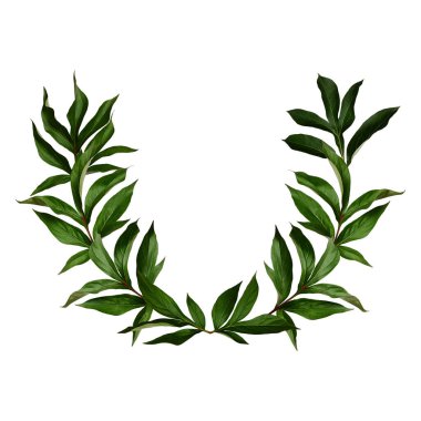 Beyaz arka planda yarı dairesel şekilli şakayık yaprağı çerçevesi. Kolaj, tasarım, kartpostal, tebrik kartı, düğün kartı ve davetiye oluşturma ögesi.