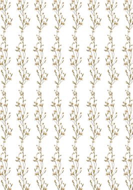 Bitki arka planı, tekrarlanan şablon. Kurutulmuş kır çiçeklerinin bileşimi. Botanik kartpostal yapmak için mükemmel. Düğün davetiyesi, iç dizayn, kartlar. Sıkıştırılmış çiçekçi, oshibana.