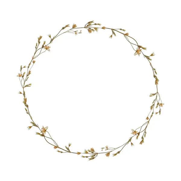 Narin kurumuş kır çiçeklerinin yuvarlak çerçevesi. Çiçekçilik, oshibana. Tasarımlar, kartlar, desenler, çiçek aranjmanları, düğün kartları ve davetiyeler yaratmak için mükemmel..