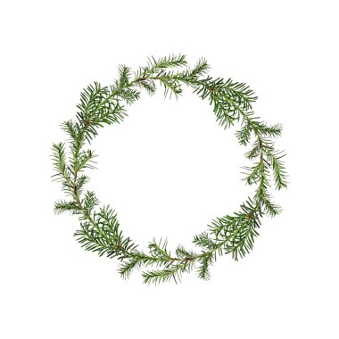 Beyaz arka planda yalıtılmış kozalaklı ağaç dalları (porsuk) çelengi. Tatil kompozisyonları, kolajlar, kartlar, davetiyeler oluşturmak için tasarım ögesi.