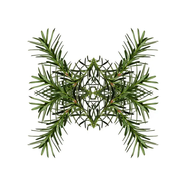 Stock image Abstract geometric composition of coniferous branches. Christmas symmetrical geometric pattern.  Design element for creating repeating seamless patterns, interior decoration, plant borders, bookmarks.