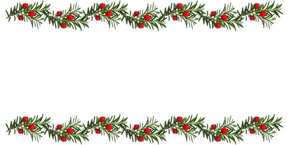 Yapay kırmızı böğürtlenlerle süslenmiş kozalaklı ağaç dallarının Noel kutlaması. Beyaz arkaplanda izole edilmiş sınır, boşluğu kopyala.