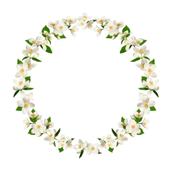 Çelenk, yasemin çiçekleri yuvarlak çerçeveli. Tasarımlar, kartlar, desenler, çiçek aranjmanları, çerçeveler, düğün kartları ve davetiyeler yaratmak için bir unsur. Üst plan, kopyalama alanı.