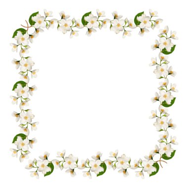 Beyaz arka planda izole edilmiş yasemin çiçeklerinden oluşan kare bir çerçeve. Tasarımlar, kartlar, desenler, çiçek aranjmanları, çerçeveler, düğün kartları ve davetiyeler oluşturma unsuru.