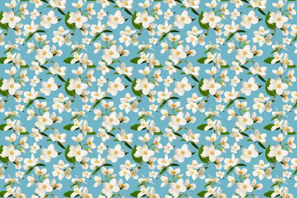 Çiçek arkaplan. Mavi arka planda narin yasemin çiçekleri, tekrarlanan desen. Düğün kartları, davetiyeler, duvar kağıtları, kumaş tasarımı, ambalaj kağıdı, iç dekorasyon için mükemmel..