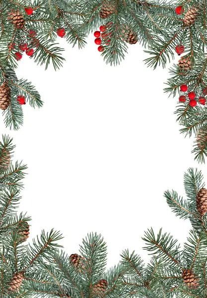Kozalaklı kozalaklı ağaç dalları ve yapay kırmızı böğürtlenlerle süslenmiş Noel çerçevesi. Çerçeve beyaz arkaplanda izole edildi, boşluğu kopyala. İki seçenek var, dekorasyon olsun ya da olmasın..