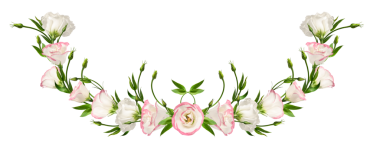 Beyaz arka planda izole edilmiş hassas Eustoma çiçeklerinin (çelenk, sınır) şenlik düzenlemesi. Çiçek düzenlemeleri, çerçeveler, düğün davetiyeleri, kartlar, sınırlar, kolajlar yaratmak için tasarım ögesi