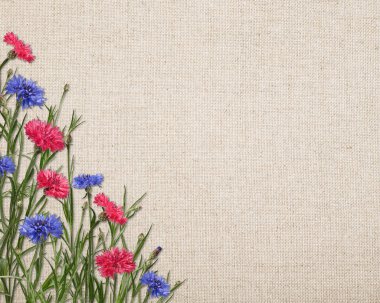Kumaşlı keten arka planda yabani çiçeklerin olduğu köşedeki çiçek aranjmanında metin için yer var. Bej bir arka planda parlak mavi ve pembe çiçek. Bahar ve yaz tasarımı.