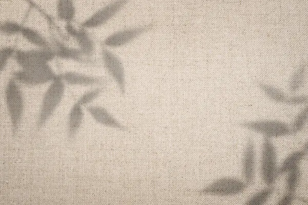 Doğal, minimalist bir geçmişi var. Yaprakların yumuşak gölgeli bej kumaş dokusu.