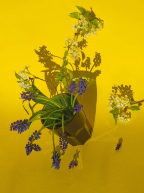 Bahar çiçekleri: Elma çiçekleri ve mor sümbül çiçekleri sarı arka planda yeşil camda. Üzüm sümbülü tasarımı, kart. Mor beyaz çiçek buketi. Mor sümbül ampulü.