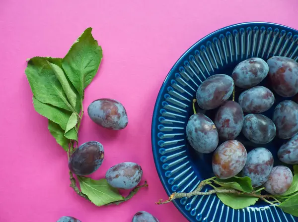 stock image Blue plum. Ripe blue plums with green leaves on blue plate on pink background. Blue fruit autumn and harvest concept. Food presentation. Damson fruits branches on plate. Plum branch with green foliage. Vintage.