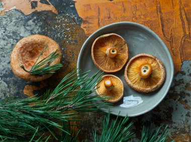 Saffron sütlü mantarlar gri tabakta paslı demir arka planda. Yenilebilir kırmızı çam mantarı deseni. Zengin protein kaynağı yiyecekler. Orman sonbahar hasadı. Toprak tonları. Turuncu mantar. Çam dalları.