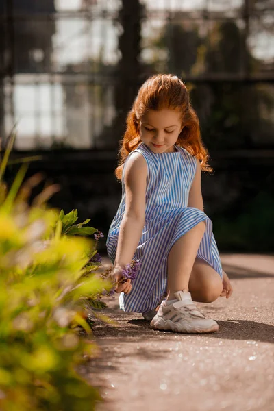 Σάμερ Ένα Κοριτσάκι Ένα Μπλε Φόρεμα Κοντά Στο Θάμνο — Φωτογραφία Αρχείου