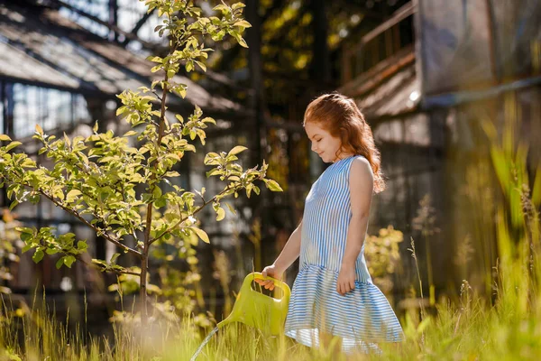 Κηπουρική Γλυκό Κορίτσι Ένα Μπλε Φόρεμα Ποτίζει Φυτά — Φωτογραφία Αρχείου