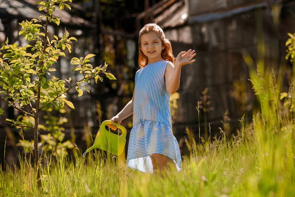 Κηπουρική Γλυκό Κορίτσι Ένα Μπλε Φόρεμα Ποτίζει Φυτά — Φωτογραφία Αρχείου