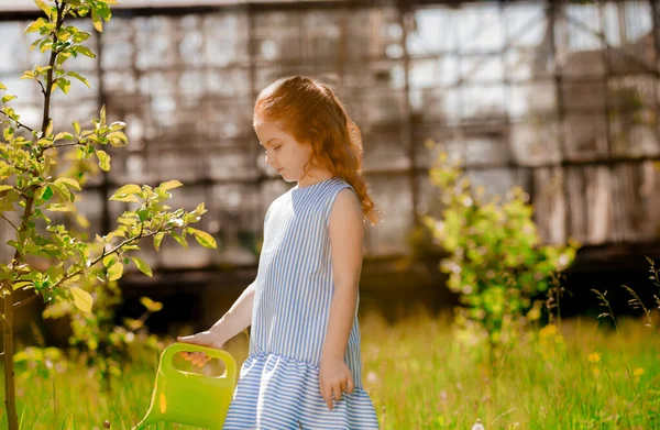 Trädgårdsarbete Söt Flicka Blå Klänning Vattna Växterna — Stockfoto
