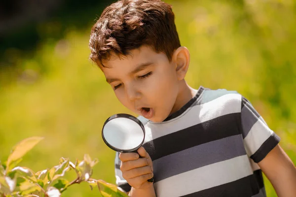 Curiosity Curious Boy Investigating Nature Magnifier — Stock Photo, Image