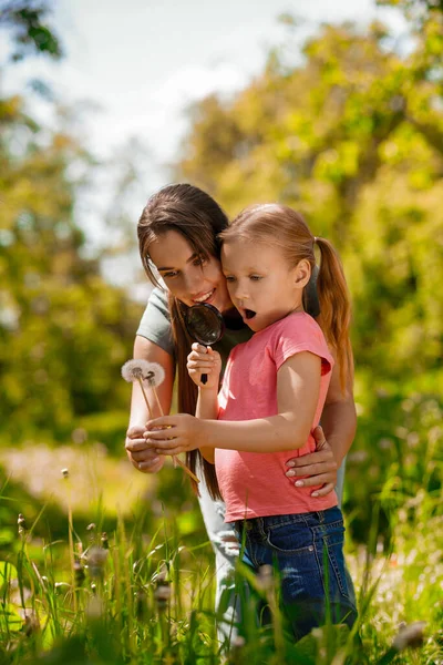 Přírodovědci Máma Dcera Cítí Klid Parku Při Vyšetřování Rostlin — Stock fotografie
