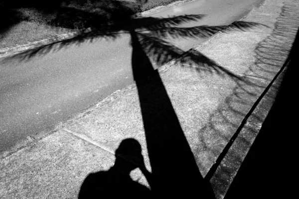 Schwarz Weiß Fotografie Des Schattens Einer Kokospalme Und Des Fotografen — Stockfoto