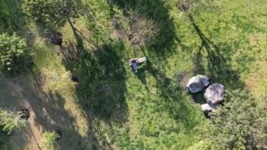 aerial view of a park with lake, fountain, playground with people on bicycles in a late afternoon day, Dron view