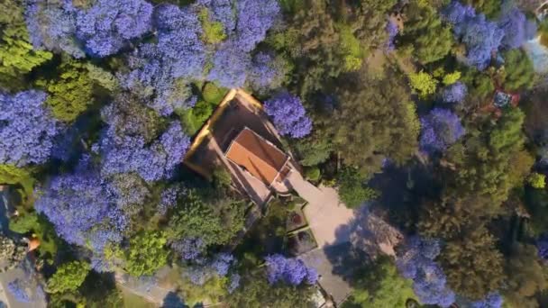 Vista Aérea Cerro Las Campanas Queretaro Primavera Verde Azul Árvores — Vídeo de Stock
