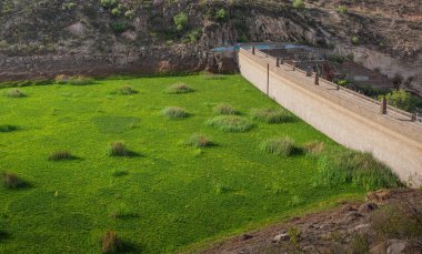 Yaz boyunca, San Luis Potosi 'de yeşil bir kaya ve bitki tarlası olan, insanların olmadığı büyük taş bir duvar.