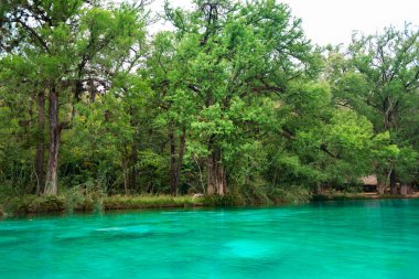 Beautiful river background in tropical forest with blue water during the summer of the huasteca in El Esalto del Meco Mexico, tourist destination clipart