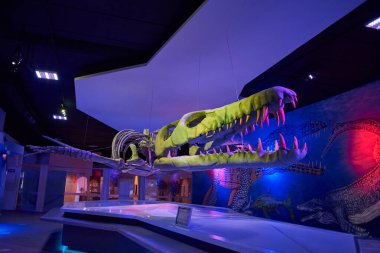 Puebla Puebla 24 07 15 Tarih Öncesi iskelet Bölge Müzesi Puebla 'daki bir dinozor sergisinden, turistik bir yer, insan yok.