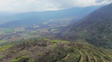 Dağlar, tarlalar, bitkiler ve yeşil ağaçlar arasındaki ekin tarlalarının havadan görünüşü