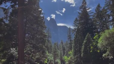 Yosemite Vadisi 'ndeki çam ormanlarından geçen kayalık nehir, uzaktaki yüksek ağaçlar ve dağlardan oluşan bir duvarla çevrili. Mavi gökyüzü manzaralı doğal bir manzara, yürüyüş ve eko-turizm için mükemmel.