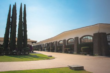 Queretaro Meksika 11 23 2024. Vinedo Freixenet 'in ana binası çam ağaçları, büyük pencereler ve üzüm bağları, popüler turizm ve romantik mekanlarla çevrili..