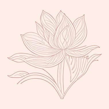 El çizimi botanik nilüfer çiçeği çiçek çizgisi sanat sembolü. Çiçeksel dış hat logo vektör çizimi.