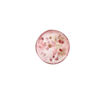 Ay 'ın elle çizilmiş suluboya çizimi. Ayın beyaz arka planda izole edilmiş farklı evreleri. Elle boyanmış modern uzay tasarımları. Suluboya tarzında peri masalı büyülü nesneler.. 