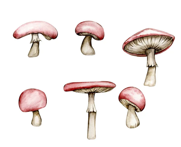 Watercolor Illustration Red Mushroom Hand Drawn Element Forest Cute Mushroom — Stockfoto