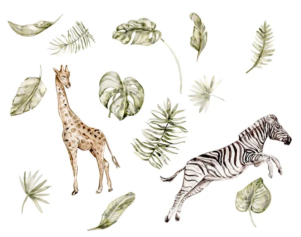 Akvarell Kézzel Rajzolt Illusztráció Dzsungel Állatok Egy Pálmafa Elágazás Fehér — Stock Fotó