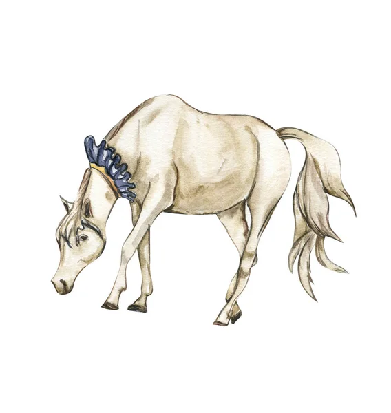 Aquarela Mão Desenhado Circo Cavalo Branco Sobre Fundo Branco Ilustração — Fotografia de Stock