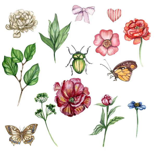 Akvarell Illusztráció Készlet Virág Elemek Pillangó Kézzel Rajzolt Virágzó Virágok — Stock Fotó
