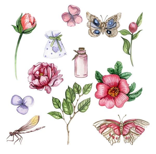 Aquarel Illustratie Set Van Bloemen Elementen Buterfly Met Hand Getekende — Stockfoto