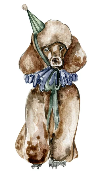 水彩手描きサーカス犬ボールヴィンテージスタイル 結婚式 招待状 ブログ カードテンプレート 誕生日や赤ちゃんのカード パターン 引用符に最適です 白地に隔離され — ストック写真
