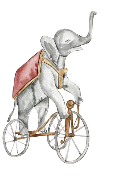 Aquarela Mão Desenhado Circo Elefante Bicicleta Estilo Vintage Perfeito Para — Fotografia de Stock