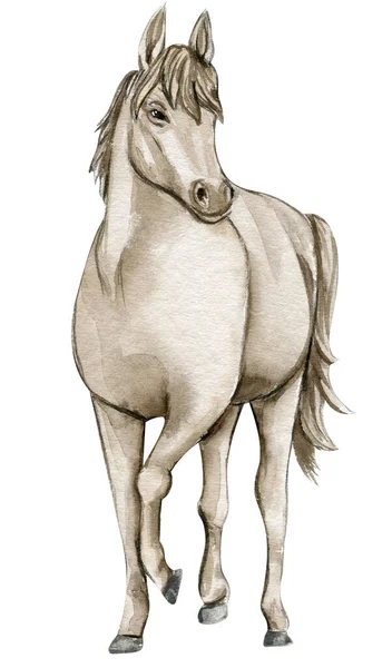 白い背景に水彩の手描きサーカスの白い馬 馬のイラスト 疾走する馬の水彩画 グリーティングカード ポスター 招待状 パーティーの装飾に最適です — ストック写真