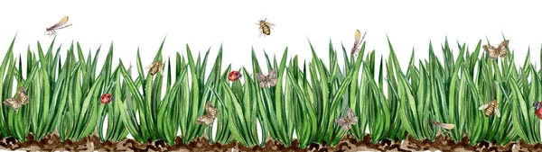 Çimenler Böcekler Çiçeklerle Suluboya Kusursuz Bir Arka Plan Çizgi Film — Stok fotoğraf