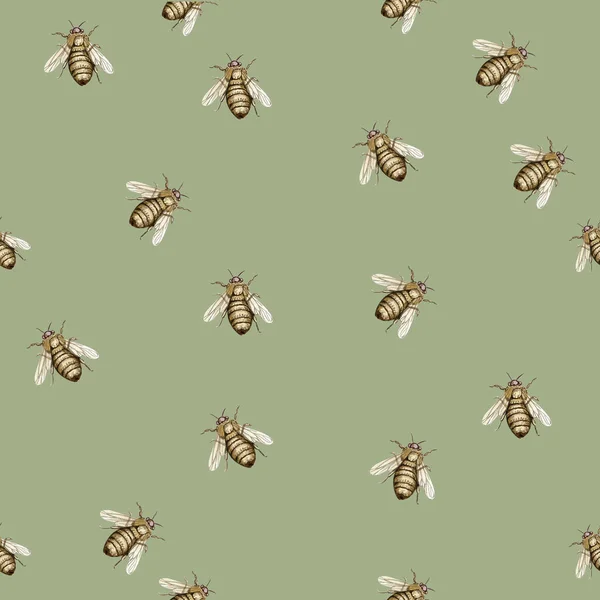 Acuarela Sin Costuras Patrón Dibujos Animados Con Flores Insectos Sobre — Foto de Stock