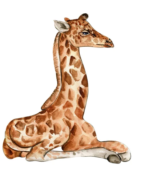 Aquarell Giraffen Illustration Karikatur Tropisches Tier Exotische Sommer Dschungel Design — Stockfoto