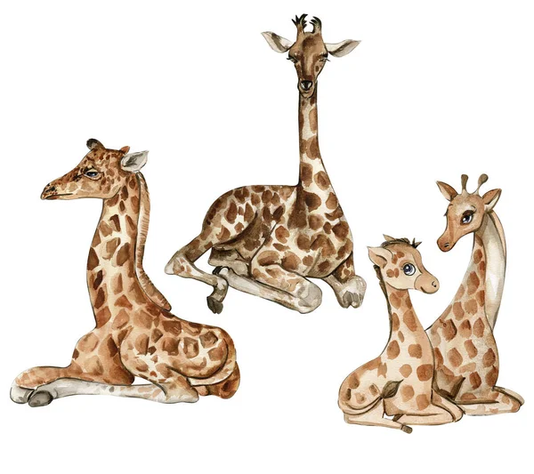 Akvarel Giraf Illustration Sæt Tegneserie Tropiske Dyr Eksotisk Sommer Jungle - Stock-foto