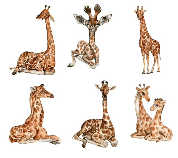 Aquarel Giraffe Illustratie Set Cartoon Tropisch Dier Exotische Zomer Jungle — Stockfoto