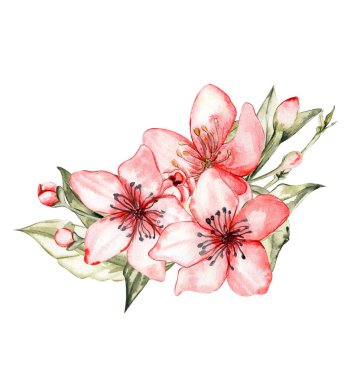 Çiçeklerle dolu bahar bahçesi çizilmiş suluboya el. Albüm koleksiyonu için suluboya çizimi. Çocuk tasarımı için yaz çiçeğiyle karikatür el çizimi. Düğün davetiyesi için mükemmel..