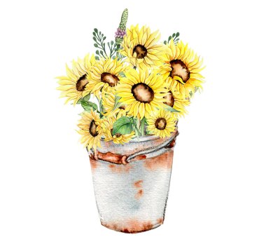 Ayçiçekleri ve eski paslı bahçe aletleriyle suluboya kompozisyon. Yazın el çizimi çizimi. Koleksiyon defteri, çocuk tasarımı, düğün davetiyesi, posterler, tebrik kartları için mükemmel..